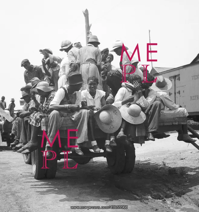 : African American workers on the back of a truck : African American workers on the back of a truck