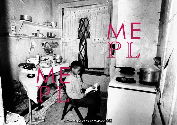 : African American youth studies by the kitchen ? : African American youth studies by the kitchen ?