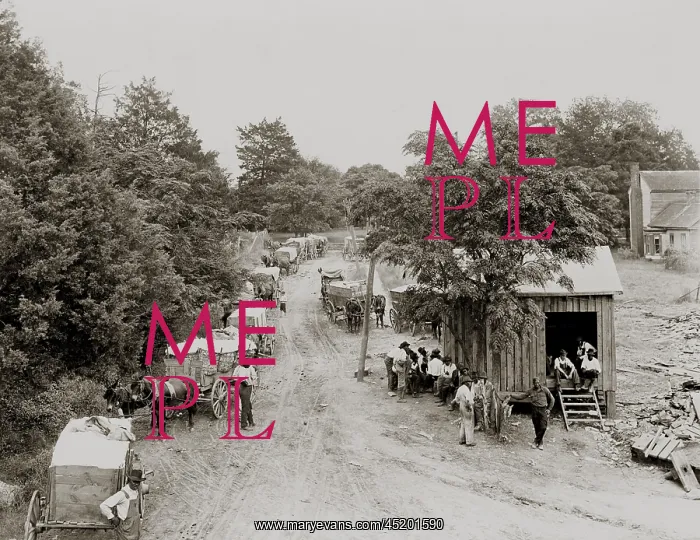: African Americans and mule drawn wagons ? : African Americans and mule drawn wagons ?