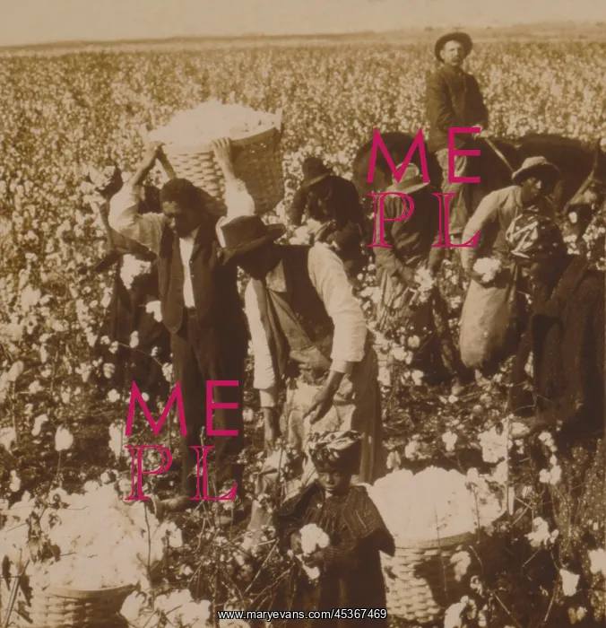 : African Americans at picking cotton under supervision : African Americans at picking cotton under supervision