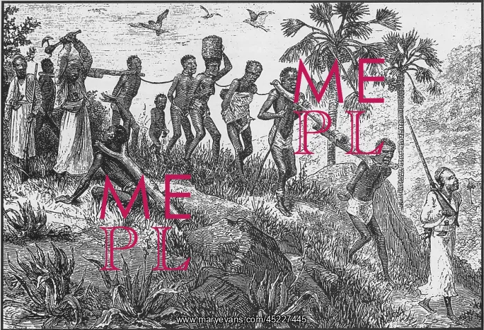 : African captives were yoked together with ? : African captives were yoked together with ?