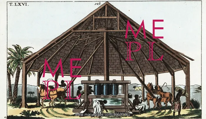 : African enslaved people working in a sugar mill : African enslaved people working in a sugar mill