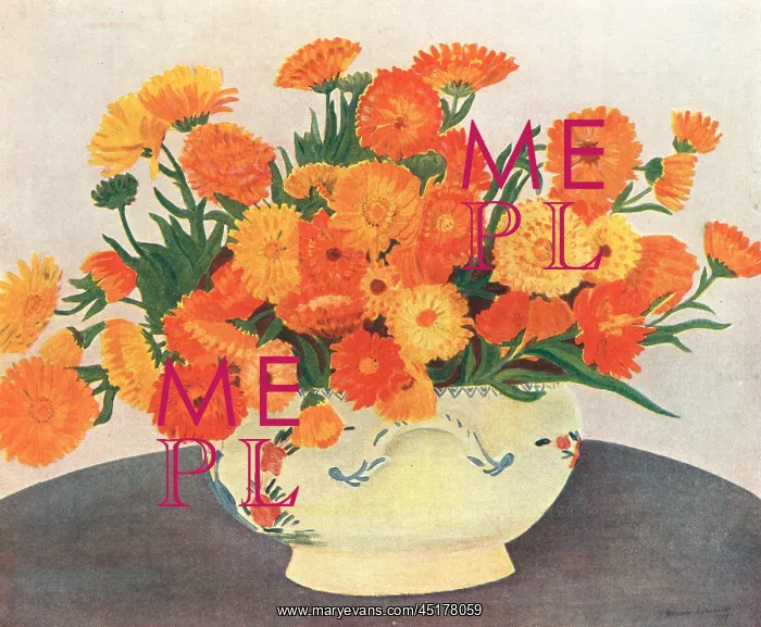 : African Marigolds : African Marigolds