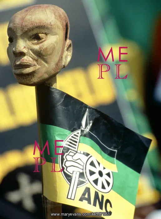 : African National Congress (ANC) flag attached : African National Congress (ANC) flag attached