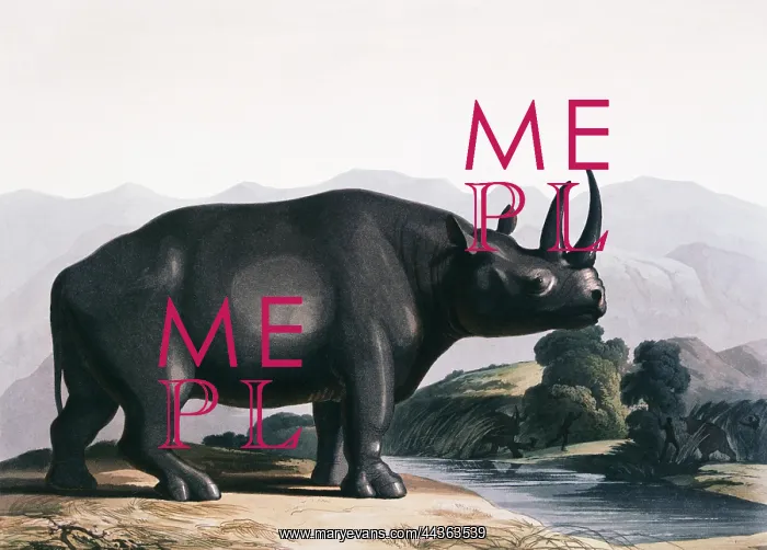  : The African Rhinoceros, 1831