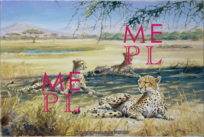 : African Siesta ' Cheetah : African Siesta ' Cheetah