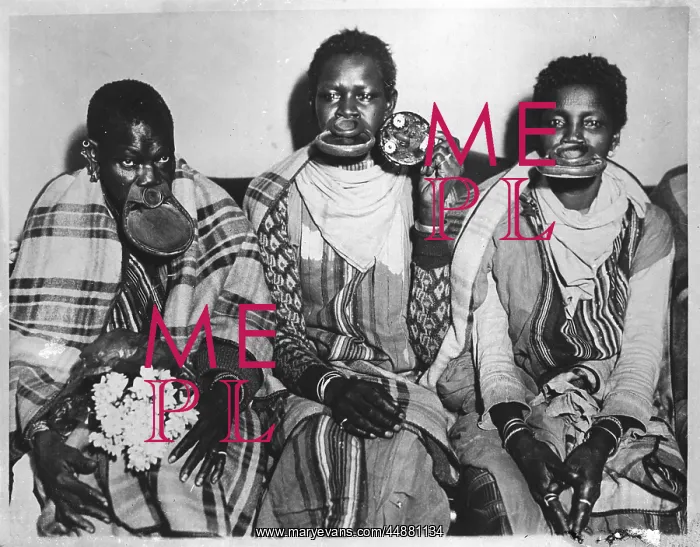 : AFRICANS WITH PELELE : AFRICANS WITH PELELE