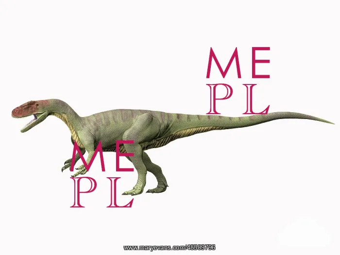 : Afrovenator abakensis, Middle Jurassic of Niger : Afrovenator abakensis, Middle Jurassic of Niger