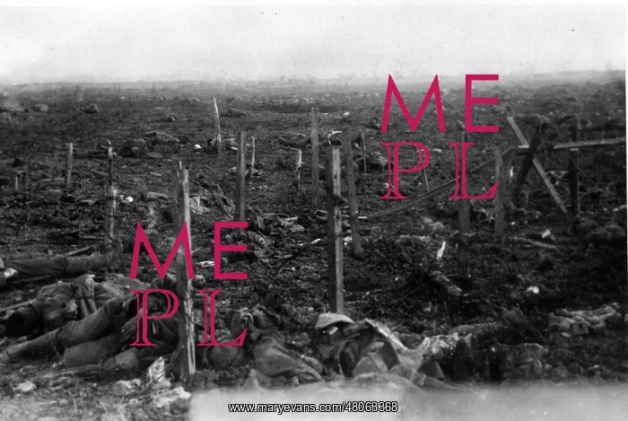 : Aftermath of the battle of Neuve Chapelle : Aftermath of the battle of Neuve Chapelle