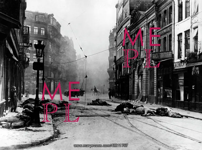 : Aftermath of a street fight in Lille, 1914 : Aftermath of a street fight in Lille, 1914