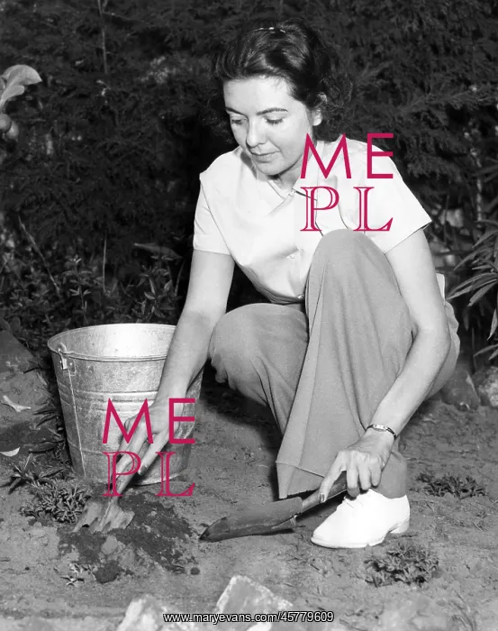  : Afternoon gardening