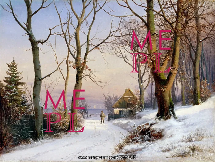 : Afternoon Glow ' snowscene : Afternoon Glow ' snowscene