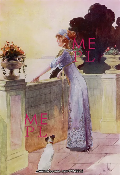: Afternoon Gown 1911 : Afternoon Gown 1911
