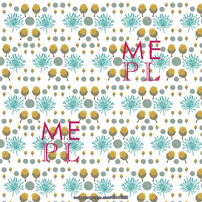  : Agapanthus, poppy seed heads and alliums repeating pattern