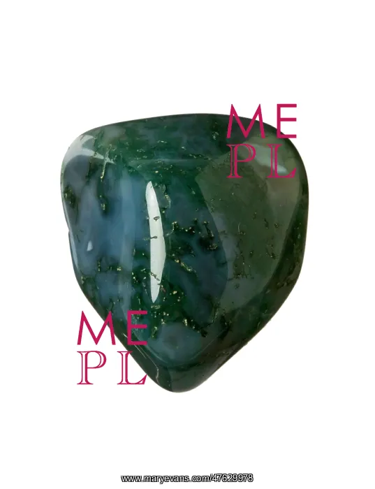 : Agate moss : Agate moss