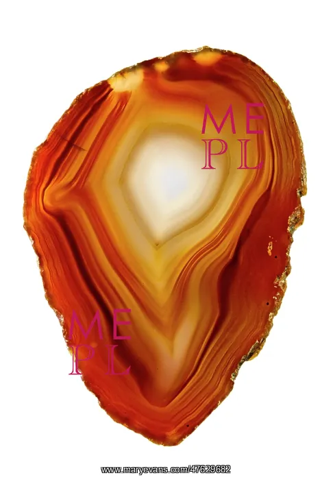 : Agate slice : Agate slice