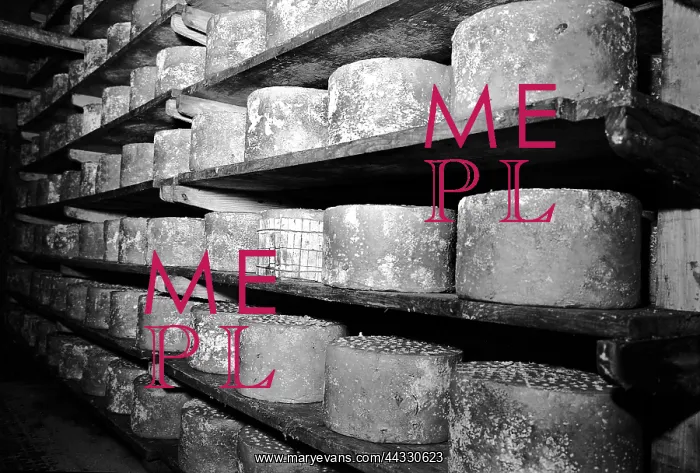 : Italy. Aging of cheese in the Polenghi factory : Italy. Aging of cheese in the Polenghi factory