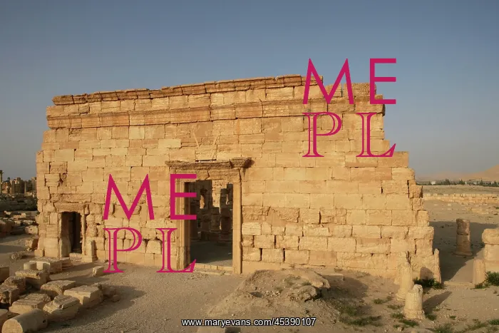  : Agora, Palmyra, Syria
