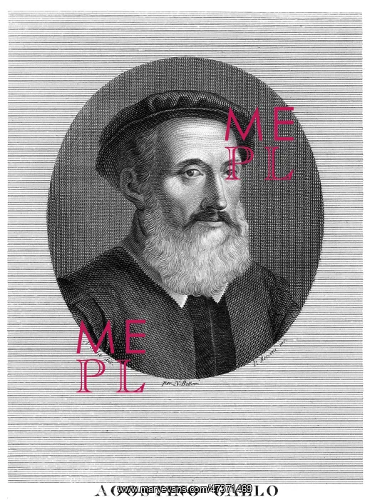 : AGOSTINO GALLO : AGOSTINO GALLO