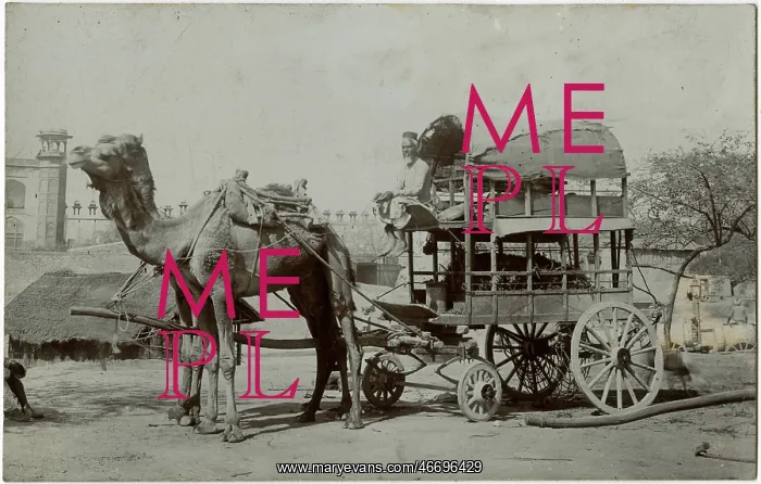 : Agra, India - Fabulous Double-decker camel-drawn wagon : Agra, India - Fabulous Double-decker camel-drawn wagon