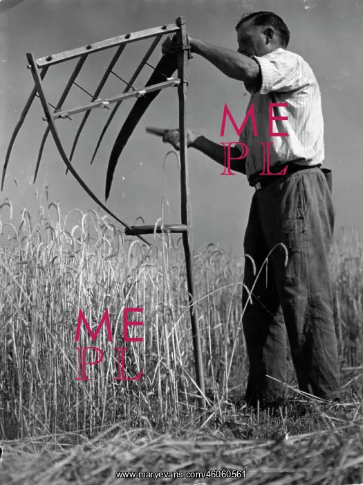 : Agricultural work