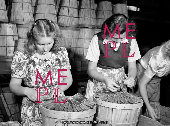 : agricultural workers - occupations - agriculture : agricultural workers - occupations - agriculture