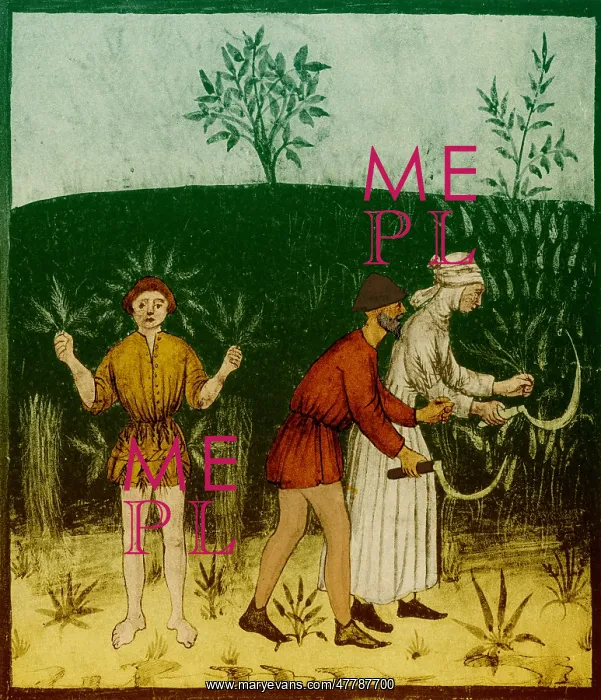 : Agriculture in the 1400s : Agriculture in the 1400s