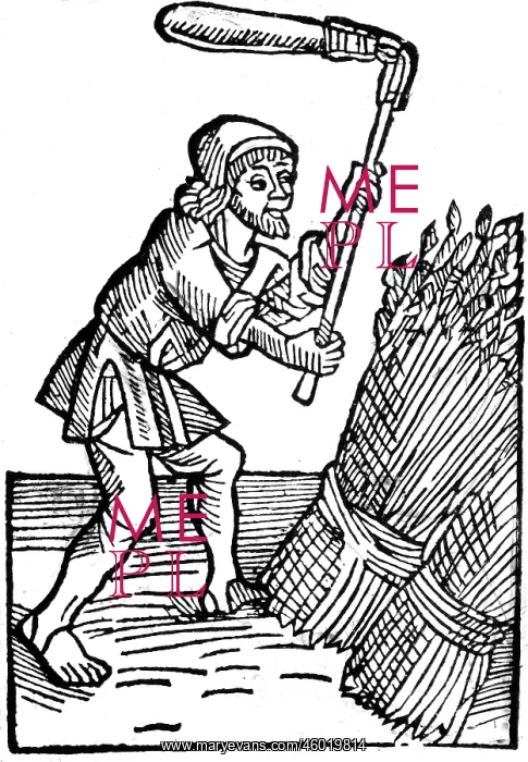 : agriculture, field work, harvest, flail, flailing : agriculture, field work, harvest, flail, flailing