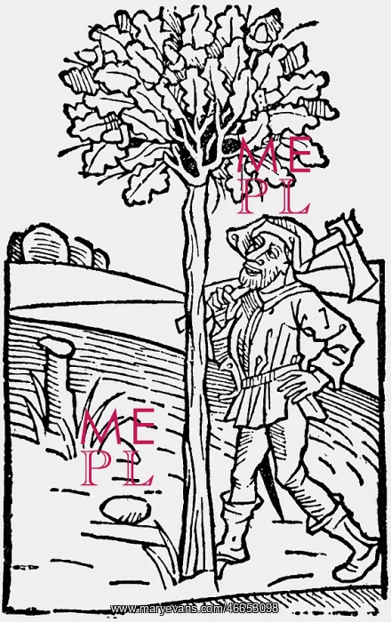 : agriculture, forestry, lumberjack, woodcut, Ruralia : agriculture, forestry, lumberjack, woodcut, Ruralia