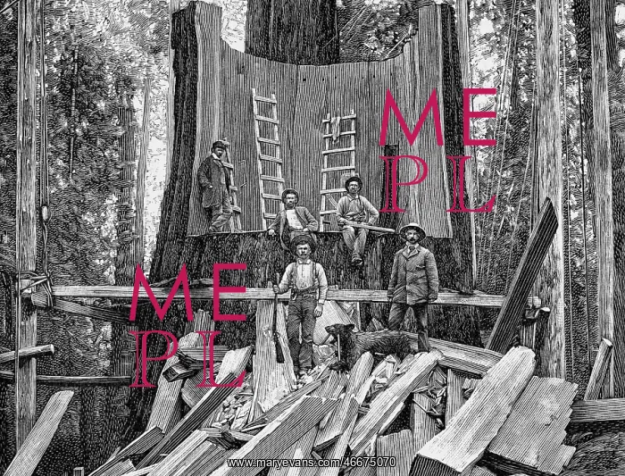 : agriculture, forestry, preparing a giant trunk : agriculture, forestry, preparing a giant trunk
