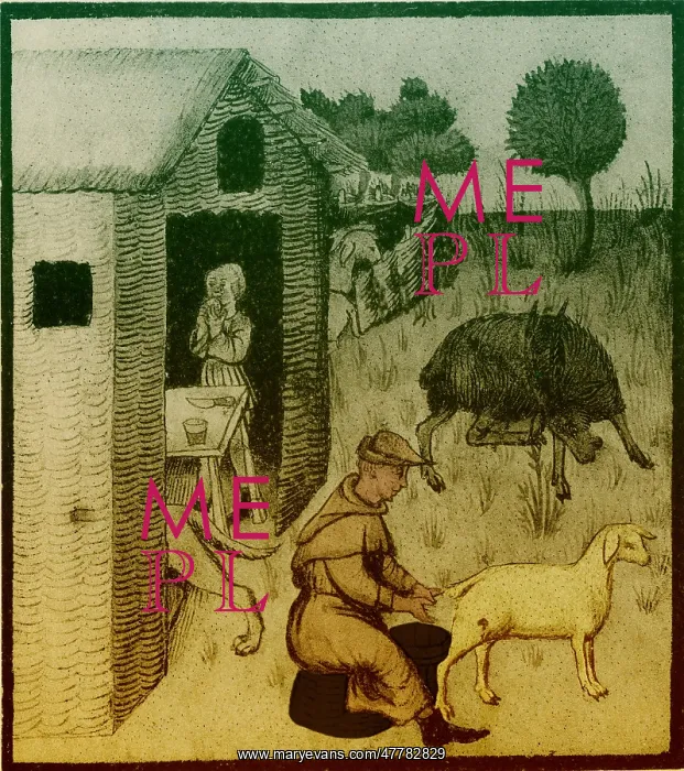 : Agriculture, Medieval Farming : Agriculture, Medieval Farming