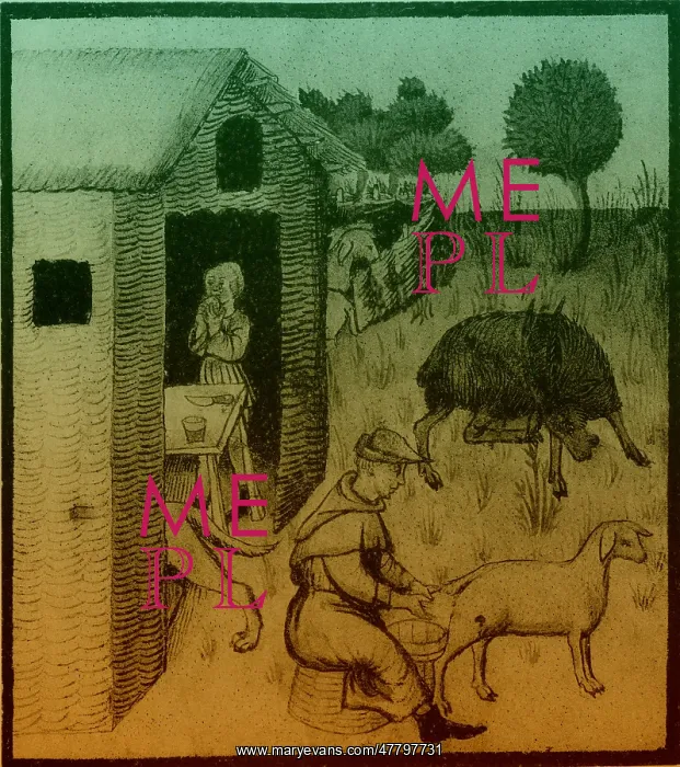 : Agriculture, Medieval Farming : Agriculture, Medieval Farming