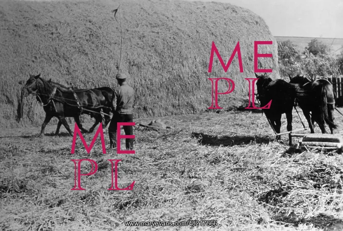 : Agriculture in Romania, 1940 : Agriculture in Romania, 1940