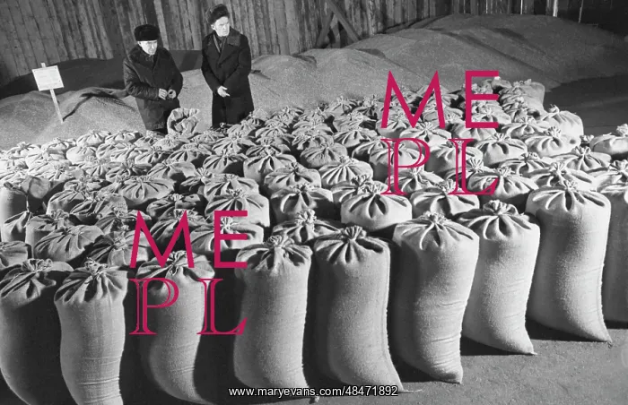 : Agriculture in Siberia : Agriculture in Siberia