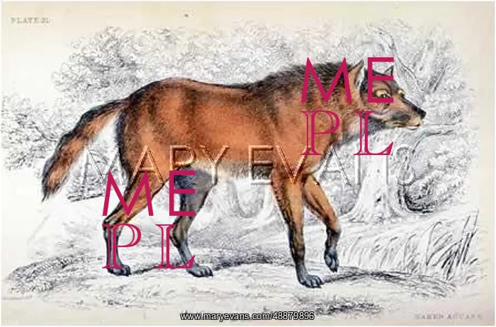  : AGUARA / SMITH / MANED 1839