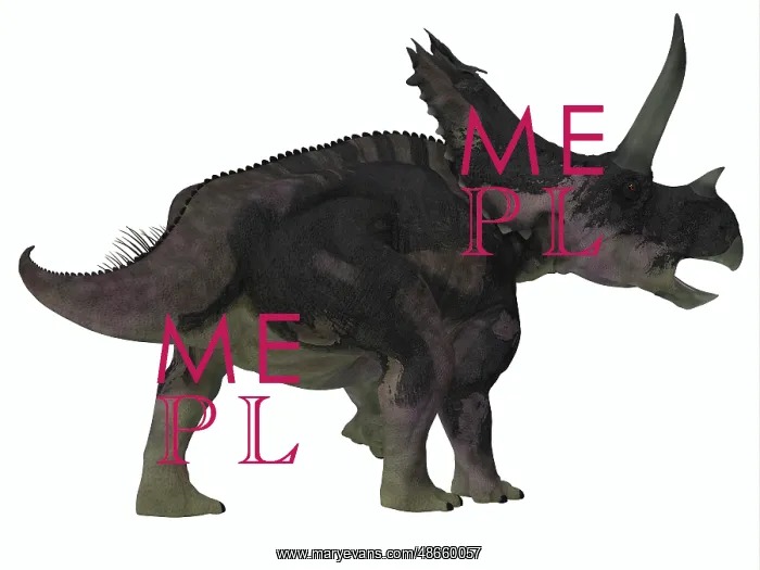 : Agujaceratops dinosaur on white background : Agujaceratops dinosaur on white background