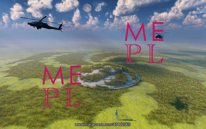 : AH-64 Apache Black Ops helicopters flying around a crop ? : AH-64 Apache Black Ops helicopters flying around a crop ?