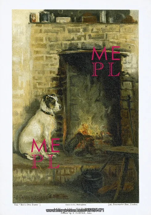 : My Ain Fireside by S. Carter : My Ain Fireside by S. Carter