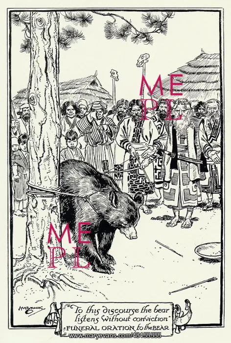 : AINO AND BEAR : AINO AND BEAR