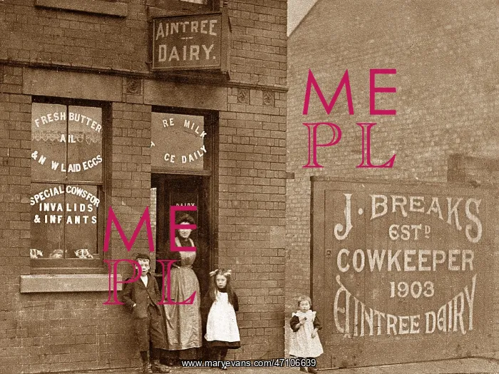  : Aintree Dairy, Liverpool, early 1900s