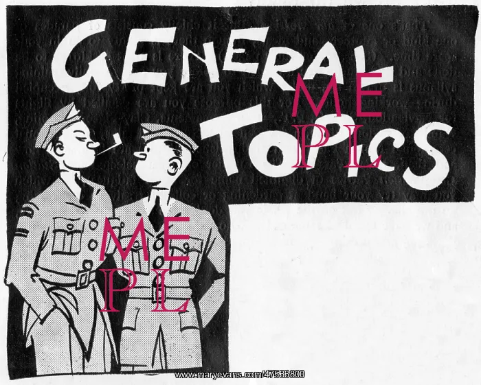 : Two air cadets : Two air cadets