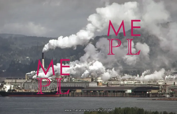 : Air pollution is visible from the Weyerhaeuser ? : Air pollution is visible from the Weyerhaeuser ?