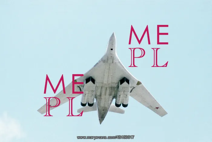 : Air show in Zhukovsky : Air show in Zhukovsky