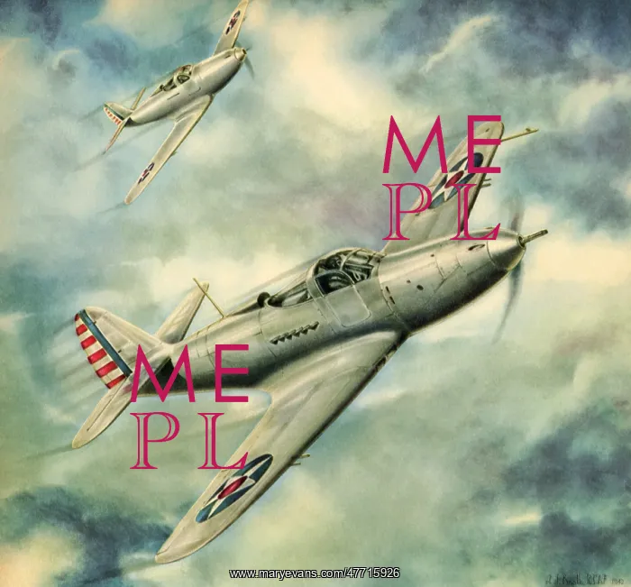 : Two Airacobra P39 Fighters : Two Airacobra P39 Fighters
