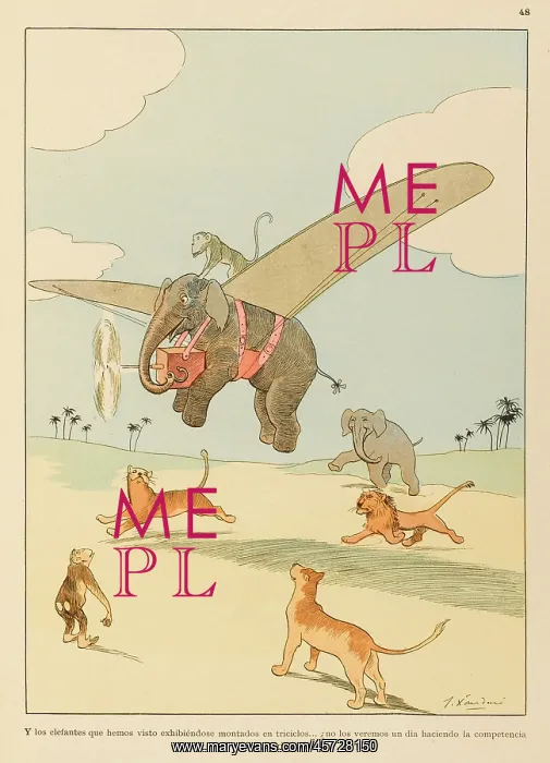 : Airborne Animals : Airborne Animals