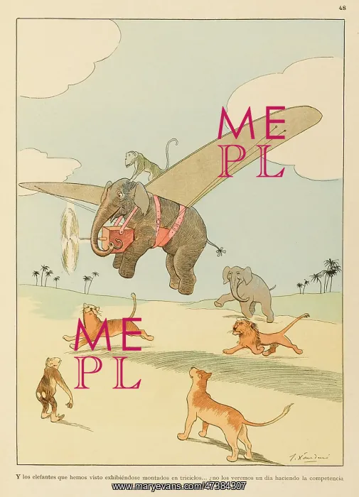  : Airborne Animals