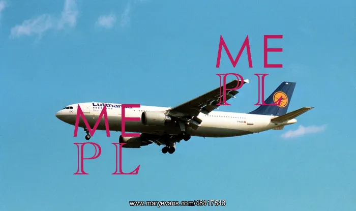 : Airbus A300-603 D-AIAN : Airbus A300-603 D-AIAN