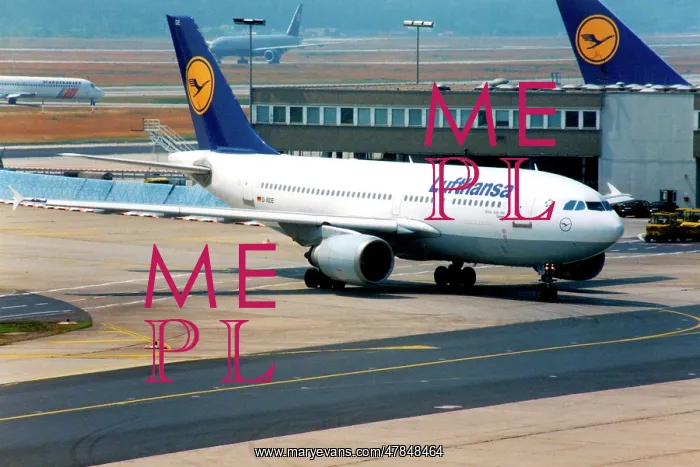 : Airbus A310-304 D-AIDE Speyer : Airbus A310-304 D-AIDE Speyer