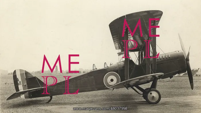 : Airco DH4 A7511 powered by a RAF 3A engine : Airco DH4 A7511 powered by a RAF 3A engine