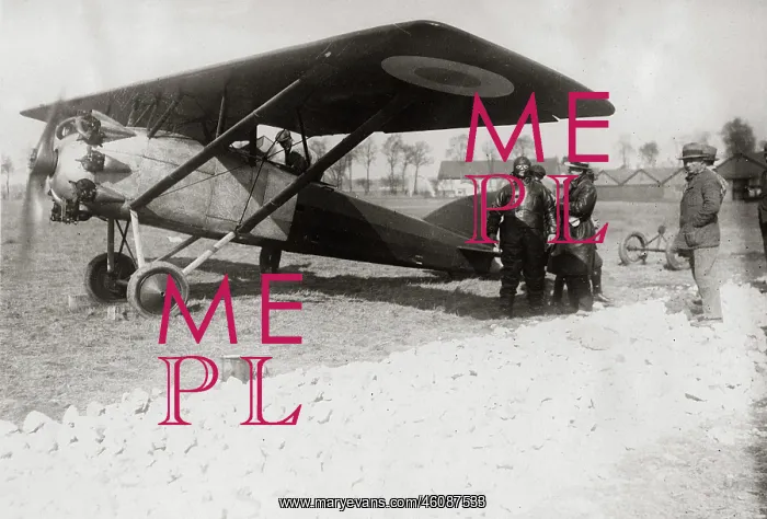  : Aircraft. The French pilot Lemoine with his aroplane
